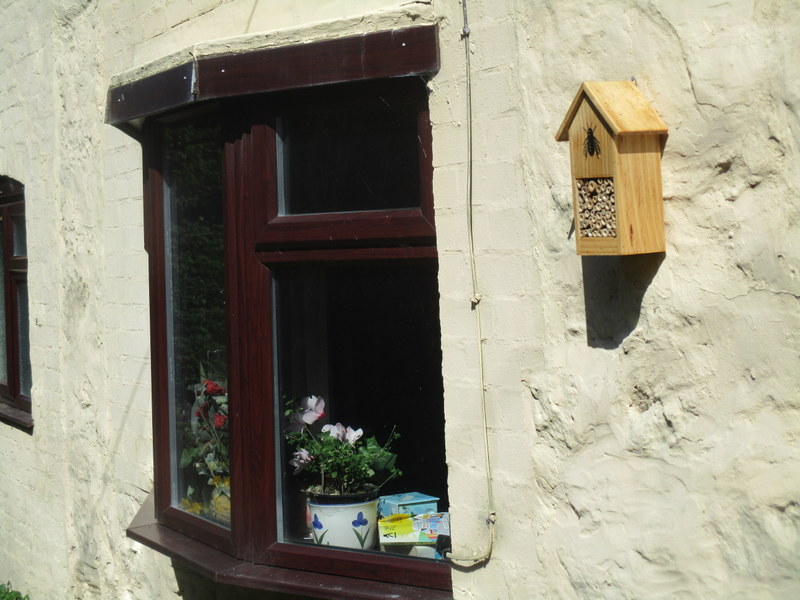 bee box